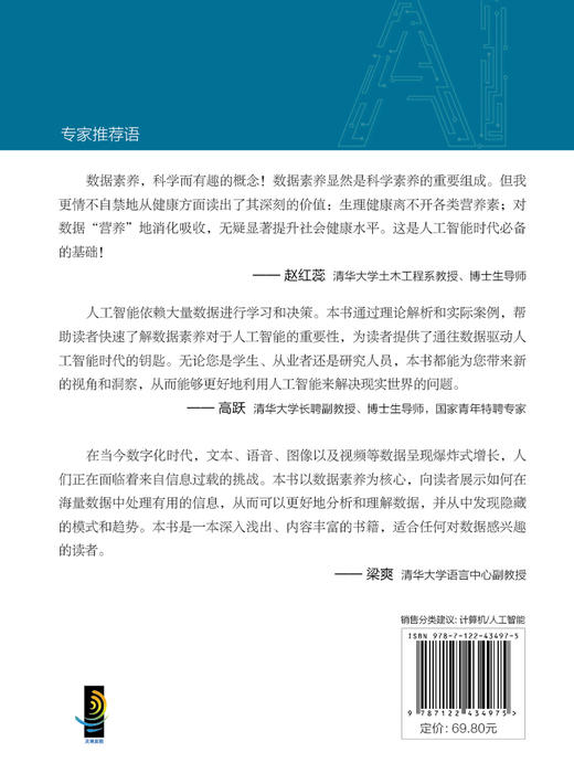 人工智能超入门丛书--数据素养：人工智能如何有据可依 商品图1