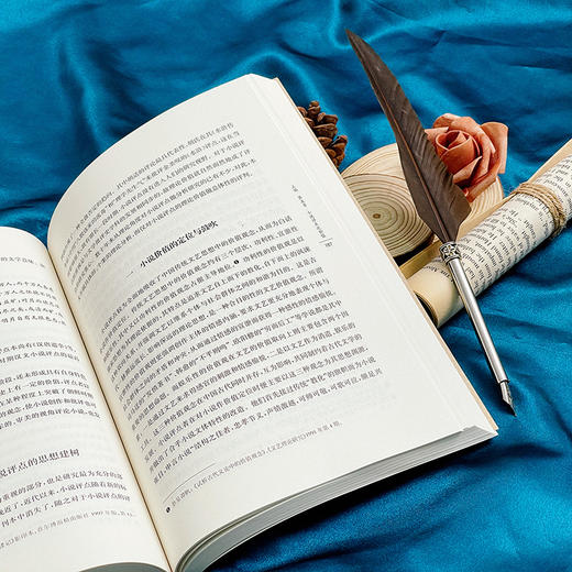 中国小说评点研究新编 谭帆 林莹著 白话小说评点研究 商品图11