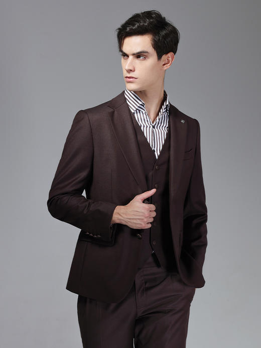 callisto深砖棕全绵羊毛西服西裤可选 ASBWJ061C BR 商品图2