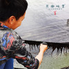 霞浦头水紫菜（成都仓库—顺丰快递）| 125g/袋，来自福建霞浦，生产者：老蔡【合作生产，公平贸易】 商品缩略图7