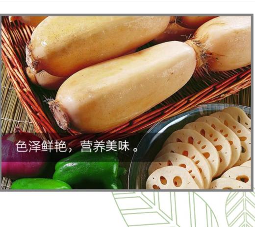 藕约500g【BC】【QC】 商品图4