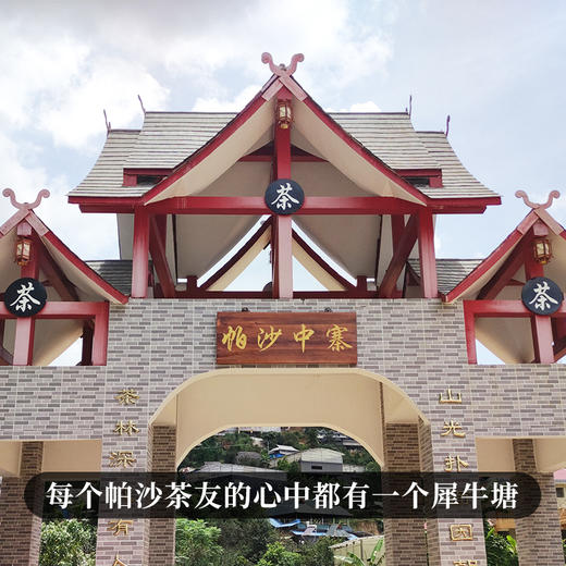【犀牛塘单株】2023年头春头采，帕沙核心产区单株单采，勐海第一香妃，357g/饼 商品图5