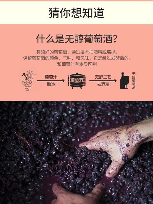 【单独发货】原装进口意大利无醇起泡酒 口感清爽 0酒精 天然果香 商品图3