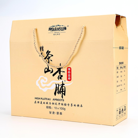 TSNG-条山杏脯礼盒100g*10袋/盒【大宗供货请联系客服】