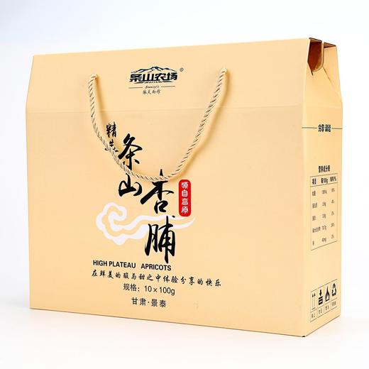 TSNG-条山杏脯礼盒100g*10袋/盒【大宗供货请联系客服】 商品图0