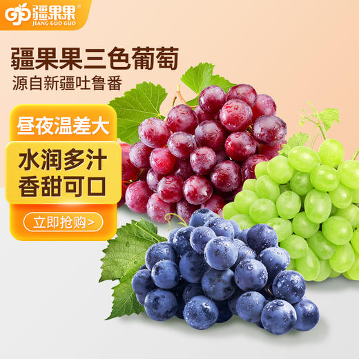 【新疆】三色葡萄4斤礼盒装【京东/顺丰航空包邮】 商品图0