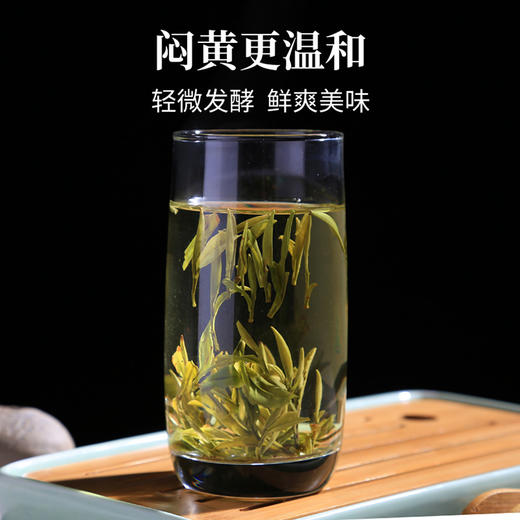 徽六丨霍山黄芽 徽青 黄茶 一级 125g 商品图2