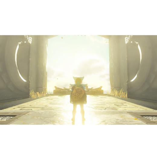 【共享租借】任天堂Switch游戏卡 塞尔达传说2 王国之泪 共享租借 商品图3