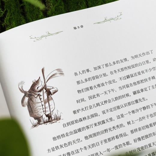 《柳林风声》（世界儿童文学经典） 商品图3