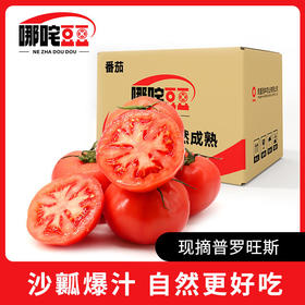 一口咬下去酸甜的汁水翻涌~