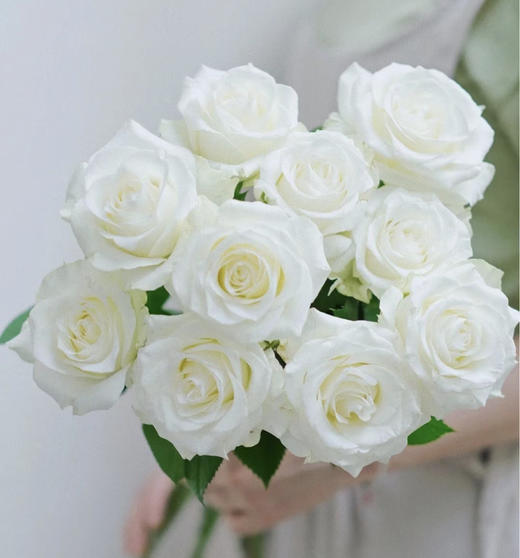 【周四秒杀】骄傲白玫瑰10枝49.8元 商品图0