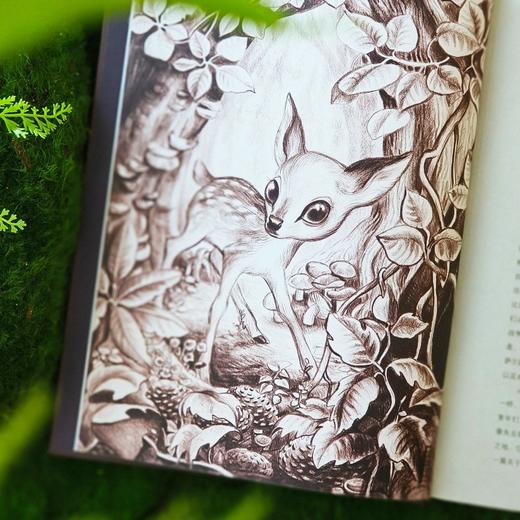 《小鹿斑比》（世界儿童文学经典） 商品图6