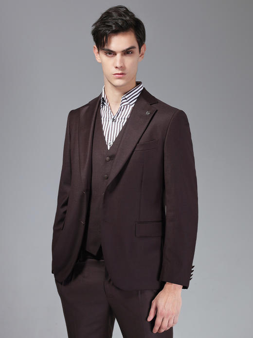 callisto深砖棕全绵羊毛西服西裤可选 ASBWJ061C BR 商品图0