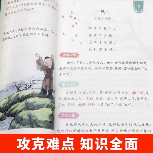 赠音频资料 小学基础知识大全7册 小学五感写作法知识大盘点语文数学英语基础知识强化综合训练系统总复习资料 小升初知识汇总大全 商品图3