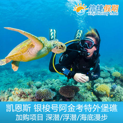 凯恩斯 银梭号阿金考特外堡礁加购项目  直升机/深潜 / 浮潜 / 海底漫步 商品图0