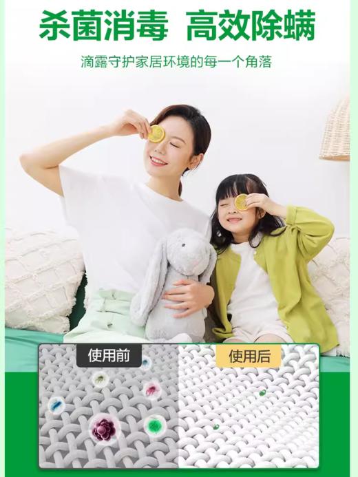 滴露消毒液1.2L 商品图2