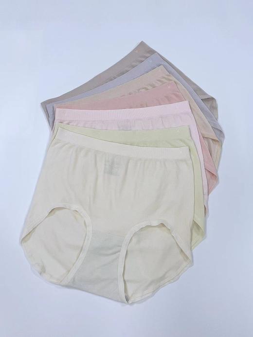 2F厚木内裤 商品图1