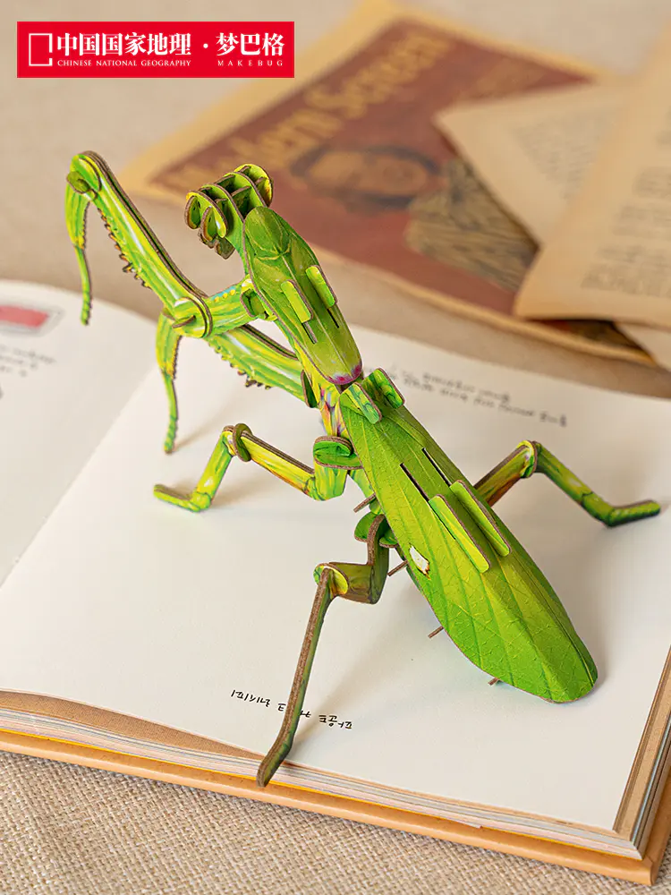 中国国家地理梦巴格 广斧螳3d立体纸质拼装模型昆虫系列手工创意