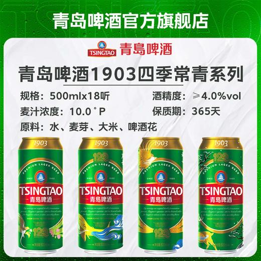 【全国仓】青岛啤酒 经典1903 10度500ml*18听 商品图3