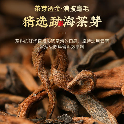 茶马世家 头采新会天马阳光果 全生晒小青柑130g 商品图4