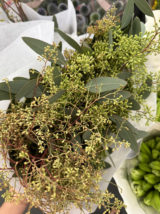 国产花材-【小米果叶】 商品图1