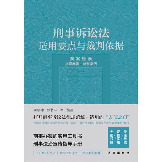 刑事诉讼法适用要点与裁判依据 （类案检索：指导案例＋典型案例） 郝银钟 罗书平等编著 商品图1