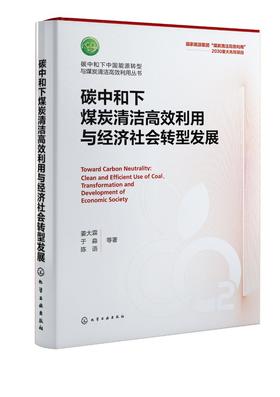 碳中和下中国能源转型与煤炭清洁高效利用丛书--碳中和下煤炭清洁高效利用与经济社会转型发展