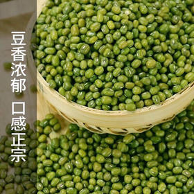 【消暑必备】黑龙江特级绿豆，无需泡发，出沙率好