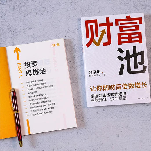 财富池 吕晓彤 著 经济 商品图2
