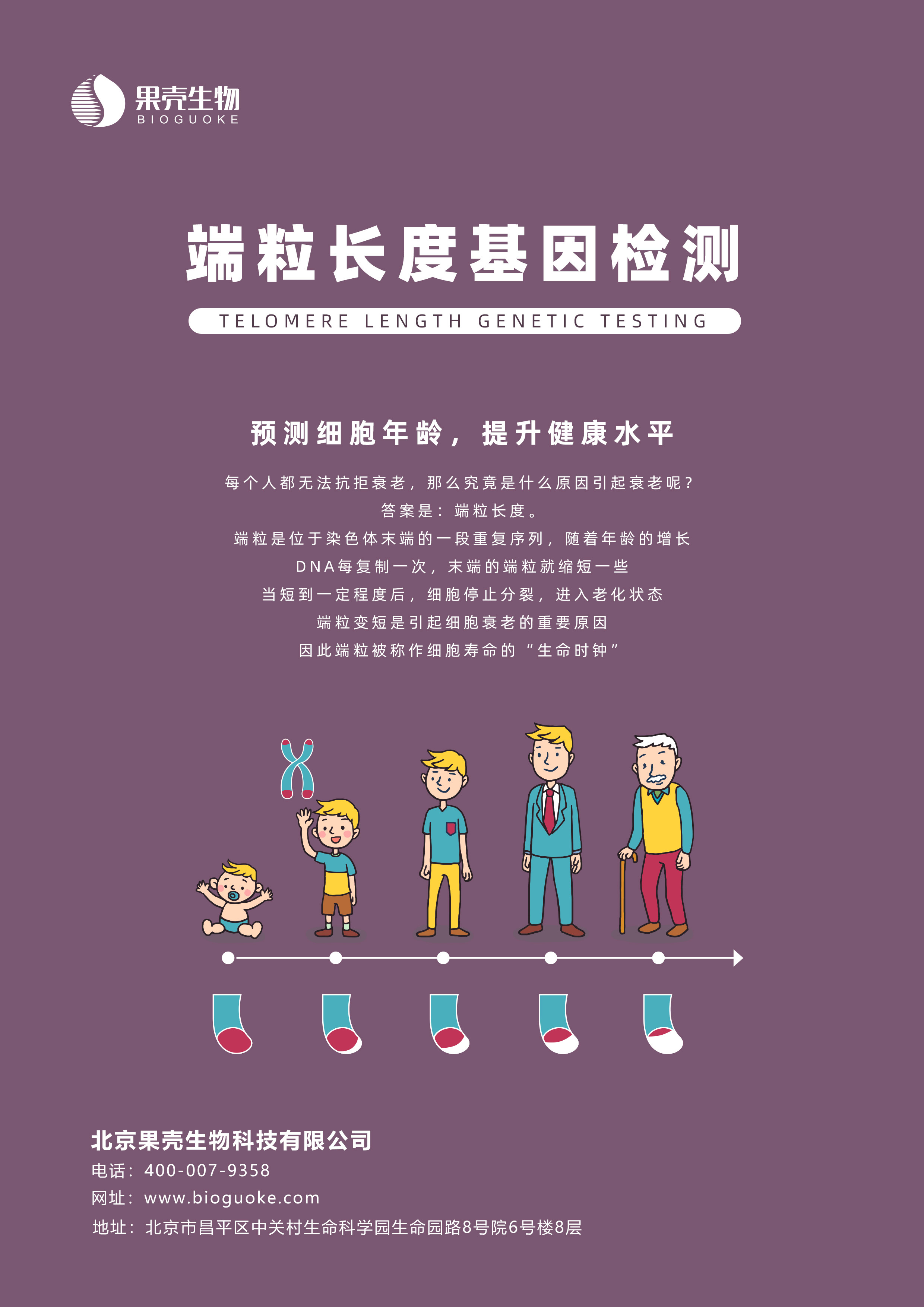 端粒长度基因检测