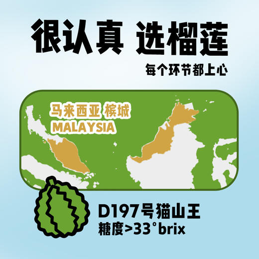 椰子知道 榴莲鲜椰汁280ml*6 商品图1