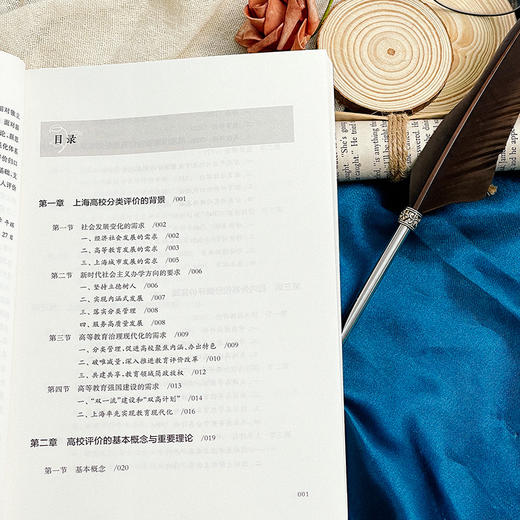 上海高校分类评价 理论与实践 平辉 中国高等教育发展 商品图5