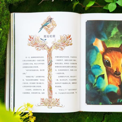 《小鹿斑比》（世界儿童文学经典） 商品图5
