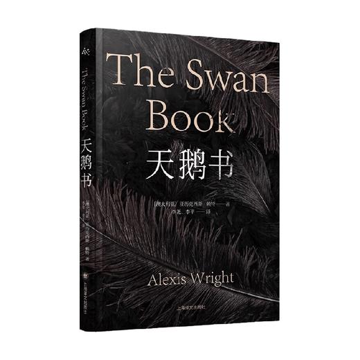 天鹅书 亚历克西斯·赖特 著 小说 商品图2