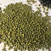 【消暑必备】黑龙江特级绿豆，无需泡发，出沙率好 商品缩略图2