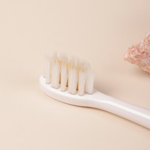 TeenieWeenie小熊声波电动牙刷成人全自动充电礼盒套装TW-T02 商品图2