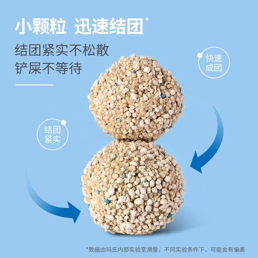 洁珊猫砂9升膨润土轻体猫沙结团吸水除臭低粉尘宠物猫咪清洁用品 商品图2