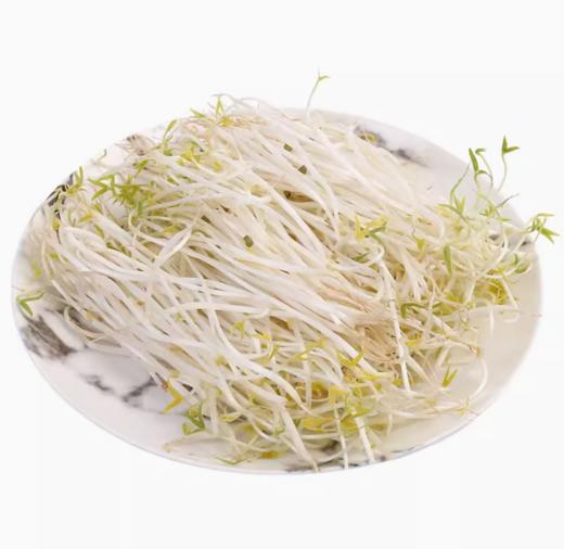 绿豆芽 约500g【BC】【QC】 商品图1