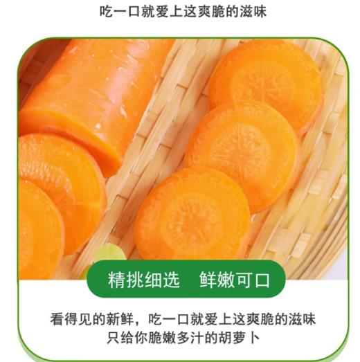 胡萝卜约500g 【BC】【QC】 商品图4