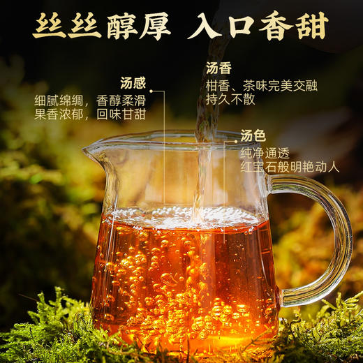 茶马世家 头采新会天马阳光果 全生晒小青柑130g 商品图6