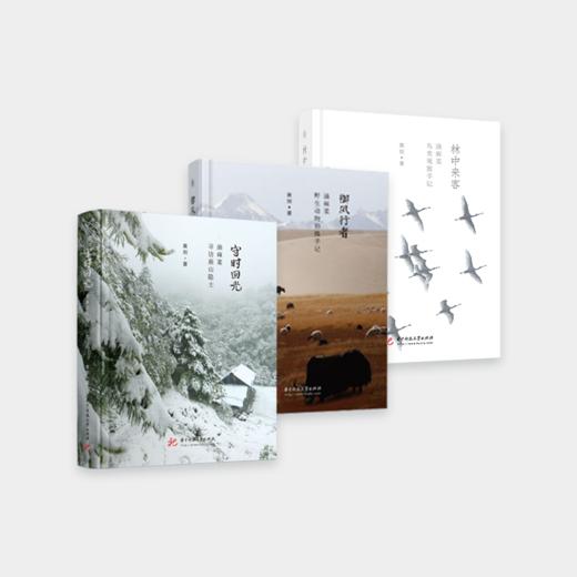 《守时回光》油麻菜寻访南山隐士 商品图1