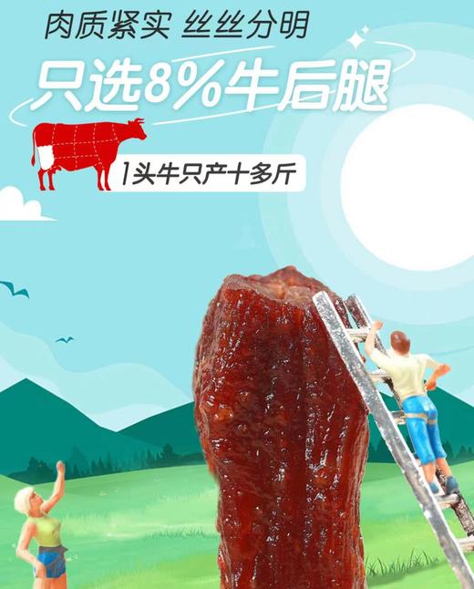 优选丨草原红旋风风干牛肉原味/香辣味 98g*4袋 商品图4