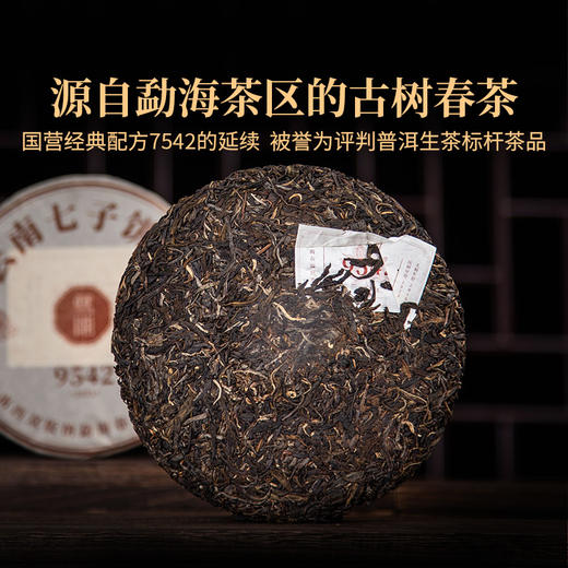 双陈2023年经典9542生茶357g云南勐海乔木古树春茶复原传奇味道正统烟香浓厚甘甜 商品图1