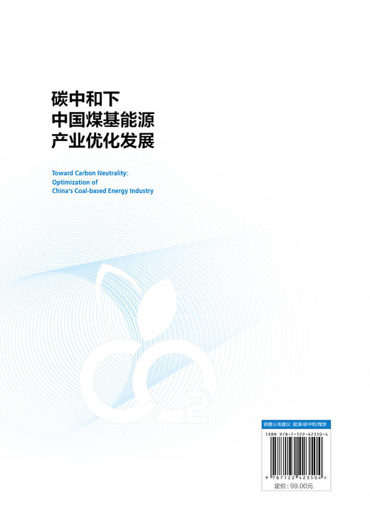 碳中和下中国能源转型与煤炭清洁高效利用丛书--碳中和下中国煤基能源产业优化发展 商品图1