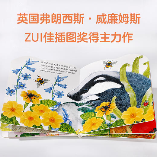 亮丽精美触摸书-小兔比利 商品图3