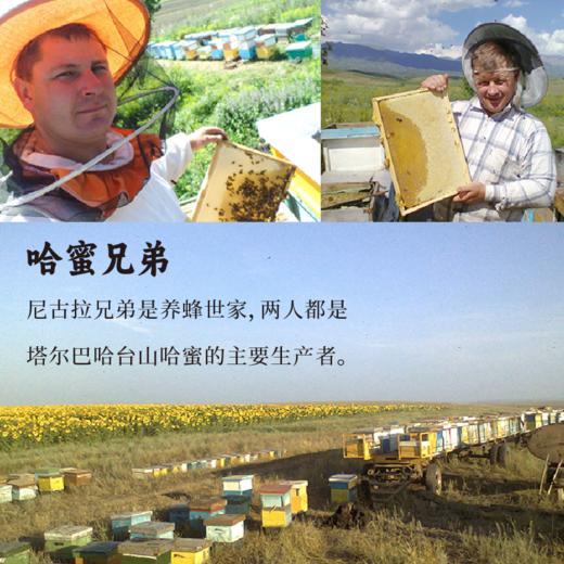 哈萨克斯坦自然成熟野花蜂蜜500g 综合营养高 商品图2
