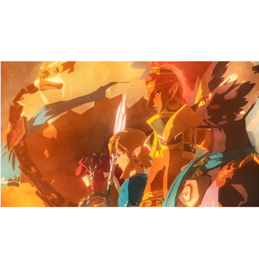 【共享租借】Switch 任天堂 塞尔达无双游戏卡 共享租借 商品图3