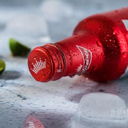 百威啤酒355ml 商品图3