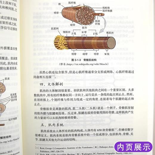 正版2本 浮针医学之再灌注活动+浮针医学纲要 基于基础医学的现代针灸 附视频 浮针医学之再灌注活动 中医针灸学 浮针疗法医学书籍 商品图3