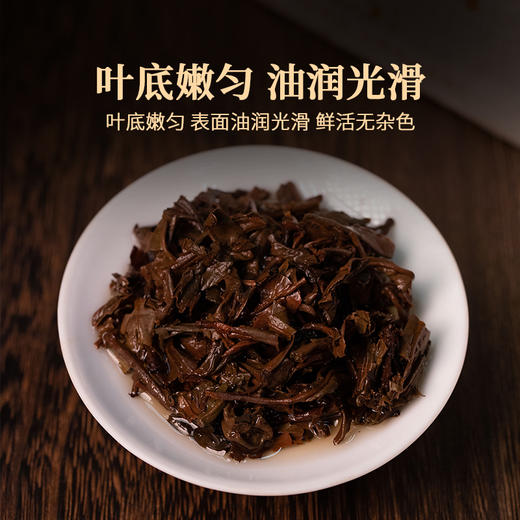 双陈2023年金布朗15年醇砖茶200g烟香密韵浓厚甘润云南勐海古树春茶 商品图4